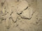 Free Sand. Texture Stock Photo - 4636450