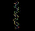 Free DNA Royalty Free Stock Images - 4649349