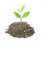 Free Small Plant Stock Photos - 4643123