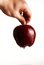 Free Hand Holding Apple Stock Photo - 4644800
