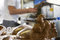 Free Making Chocolate Bunny In A Bakery Royalty Free Stock Image - 4647046