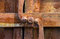 Free Rusty Door Royalty Free Stock Images - 4656899