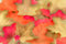 Free Autumn Leaves Background Royalty Free Stock Photography - 4658767