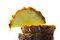 Free Pineapple Cut On A Part On A White Background Stock Photos - 4664773