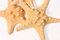 Free Starfish Trio On White Stock Image - 4667511