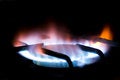 Free Natural Gas Burner 2 Stock Photo - 4672600