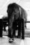 Free Beg For The Elephant Royalty Free Stock Photos - 4679528