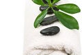 Free Wellness Royalty Free Stock Image - 4690236