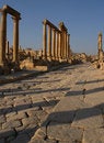 Free Columns Stock Image - 4699871