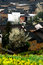 Free Beautiful Village Royalty Free Stock Photography - 4690927