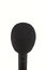Free Speak Into The Microphone Stock Images - 4696274