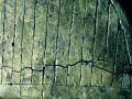Free Cracked Gold Texture Royalty Free Stock Image - 470766