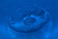 Free Water Drop Royalty Free Stock Images - 471019