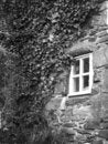 Free The Gable Royalty Free Stock Photography - 471027