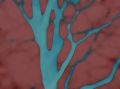 Free Veins Background Stock Image - 474541