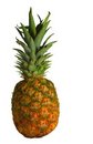 Free Isolated Pineapple Stock Photo - 474610
