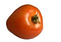 Free Tomato Isolated On White Stock Photos - 478083