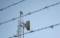 Free Satelite Tower Barbed Wire Stock Photography - 476252