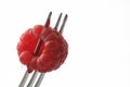 Free Raspberry Stock Photo - 4702370