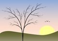 Free A Season Of Year Stock Photos - 4703443