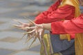 Free Thai Dance Performance Stock Photos - 4703563