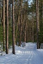 Free Happy Trails Stock Photos - 4707013