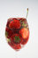 Free Strawberry And Cherry In Water Stock Photo - 4704140