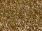 Free Wheatfield Royalty Free Stock Image - 4704156