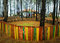 Free COLORED PARAPET IN WOODS Stock Image - 4707171