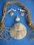 Free Seashell Face With Big Lips Stock Images - 4709334