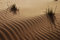 Free Desert Stock Image - 4711951
