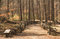Free Split Rail Fenced Trail Stock Photo - 4712790
