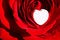 Free Red Rose With White Heart ~ Macro Close Up Stock Photography - 4715742