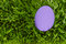 Free A Detailed Close Up Of A Purpl Egg, Green Grass Royalty Free Stock Photos - 4715878