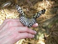 Free Lending A Hand Stock Photography - 4720952