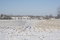 Free Midwest Farms In Winter Stock Photo - 4722370