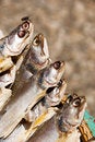 Free Grilled Fish At Marketplace Royalty Free Stock Photos - 4735858