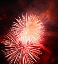 Free Fireworks Royalty Free Stock Images - 4737309