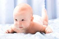 Free Cute Six Month Baby Stock Images - 4738844