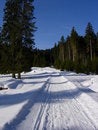 Free Mountains Royalty Free Stock Image - 4739876
