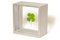 Free Four Leaf Clover Framed Stock Photo - 4734340
