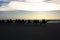 Free Riding Camels Stock Photos - 4737573