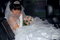 Free Bride S Portrait Royalty Free Stock Photography - 4738377
