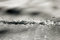 Free Tracks In The Snow Stock Photo - 4739210