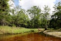 Free Creek Stock Image - 4742931