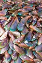 Free Seafood At Marketplace Royalty Free Stock Photo - 4745785