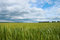 Free Coming Up Storm Stock Photos - 4742523