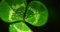 Free Water Drops Royalty Free Stock Photography - 4748747