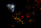 Free Alien Planet Royalty Free Stock Images - 4749839