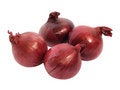 Free Onion Royalty Free Stock Photos - 4750448